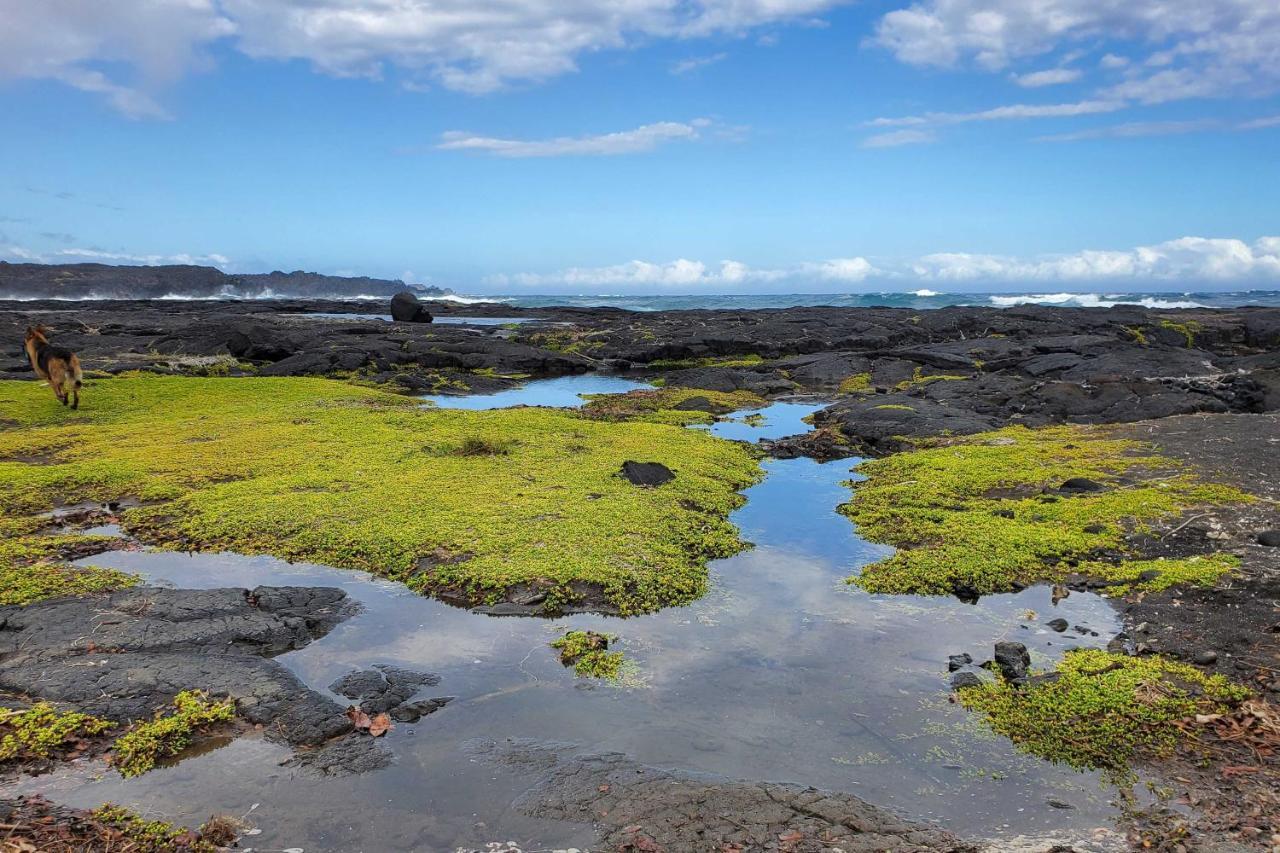 The Aloha Green House Retreat With Ocean Views! Naalehu Ngoại thất bức ảnh