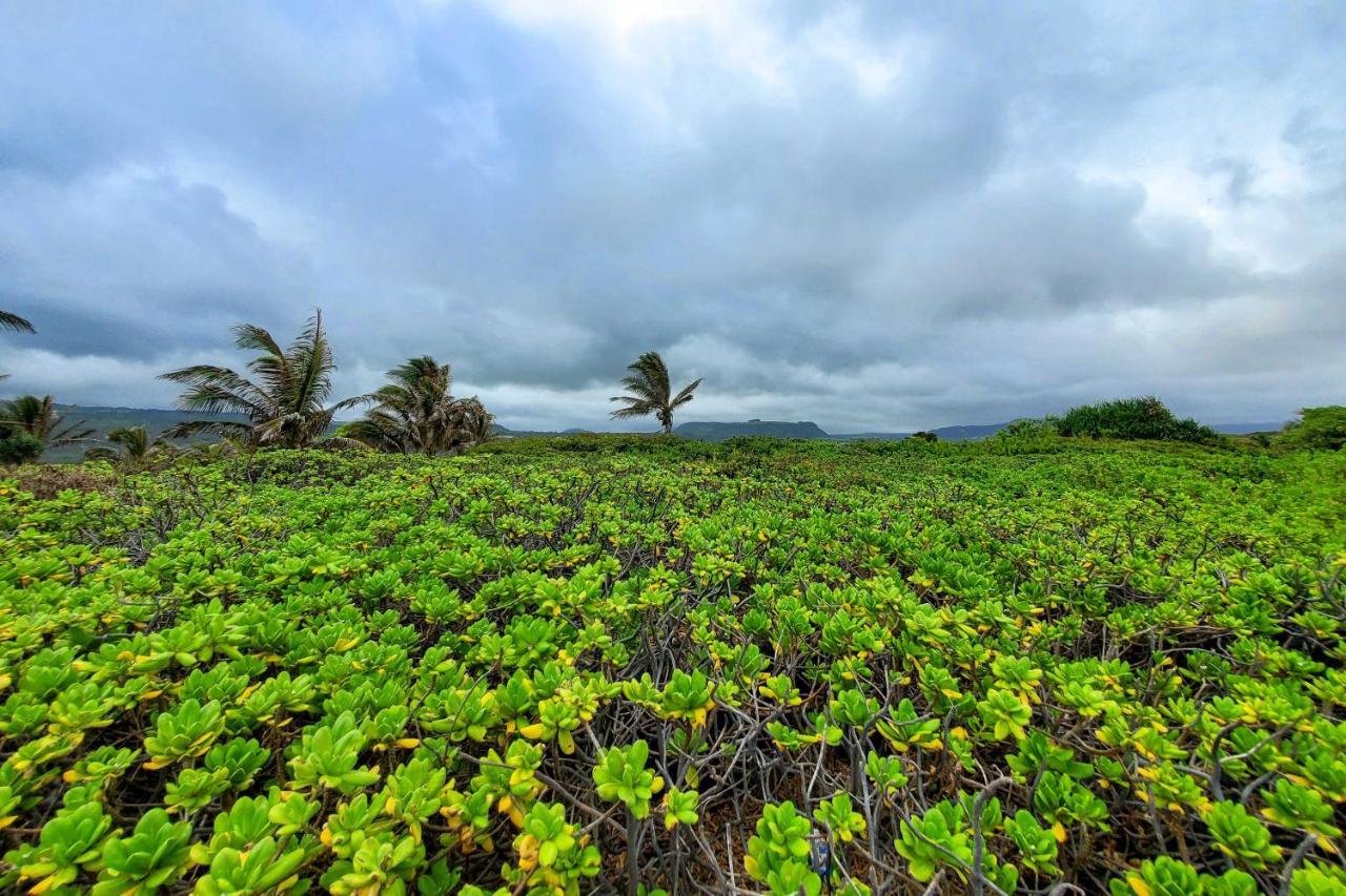 The Aloha Green House Retreat With Ocean Views! Naalehu Ngoại thất bức ảnh
