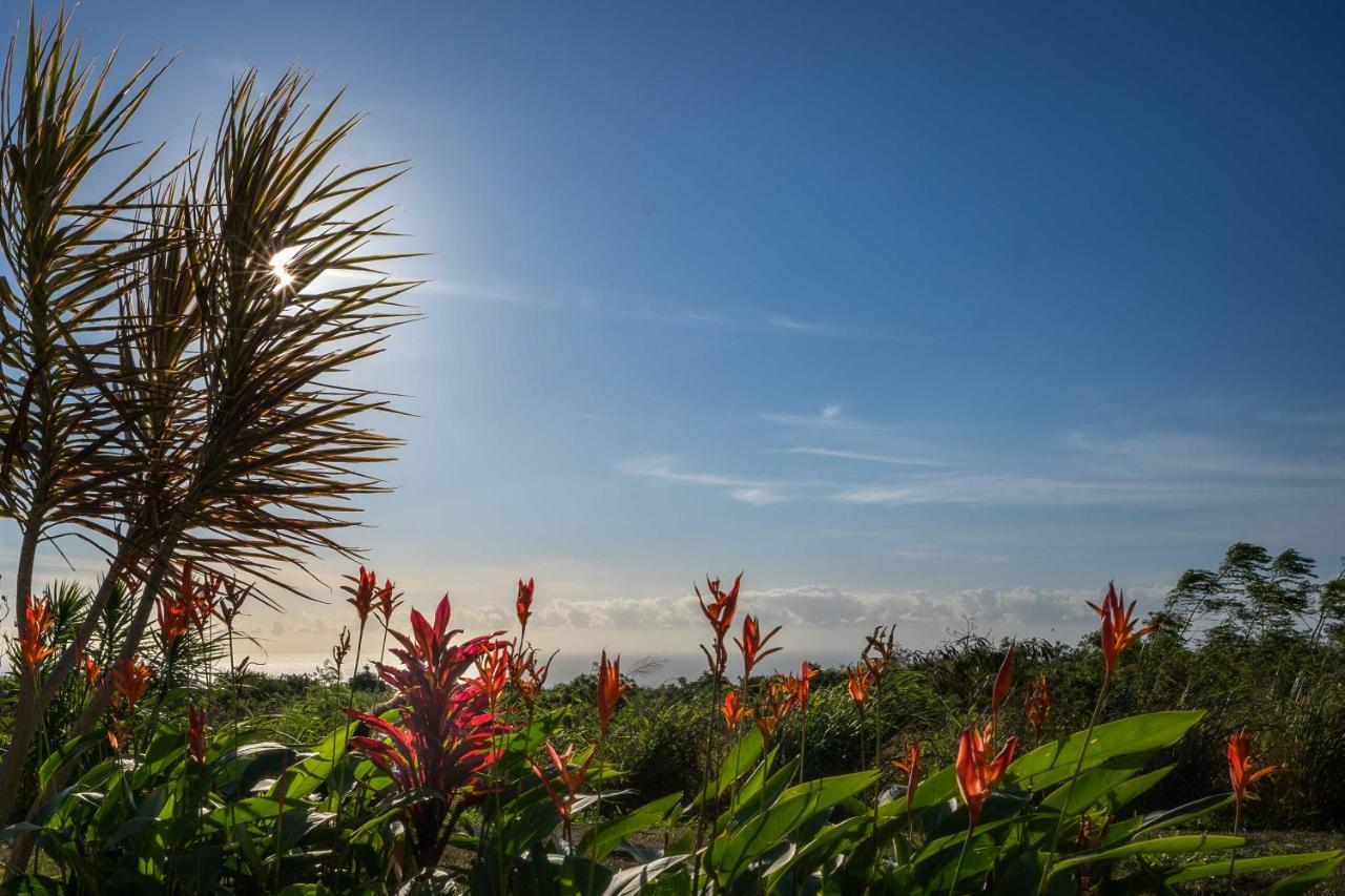 The Aloha Green House Retreat With Ocean Views! Naalehu Ngoại thất bức ảnh
